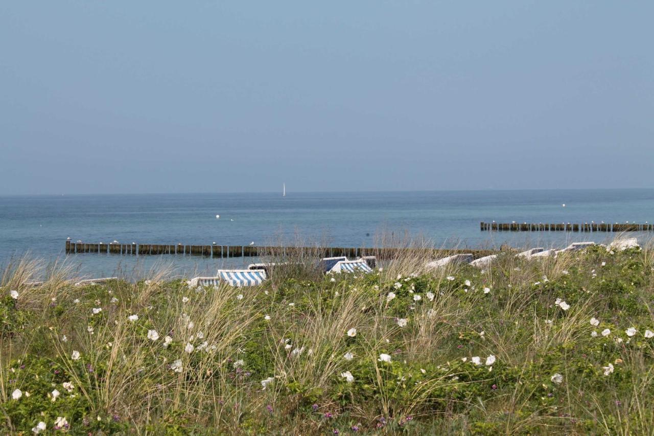 Ferienhof am Leuchtturm mit Meerblick OFC 04 Kägsdorf Exterior foto